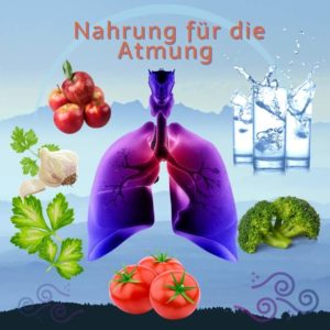 Mehr über den Artikel erfahren Nahrung für die Atmung