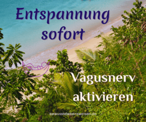 Mehr über den Artikel erfahren Entspannung sofort durch Vagusnerv-Aktivierung